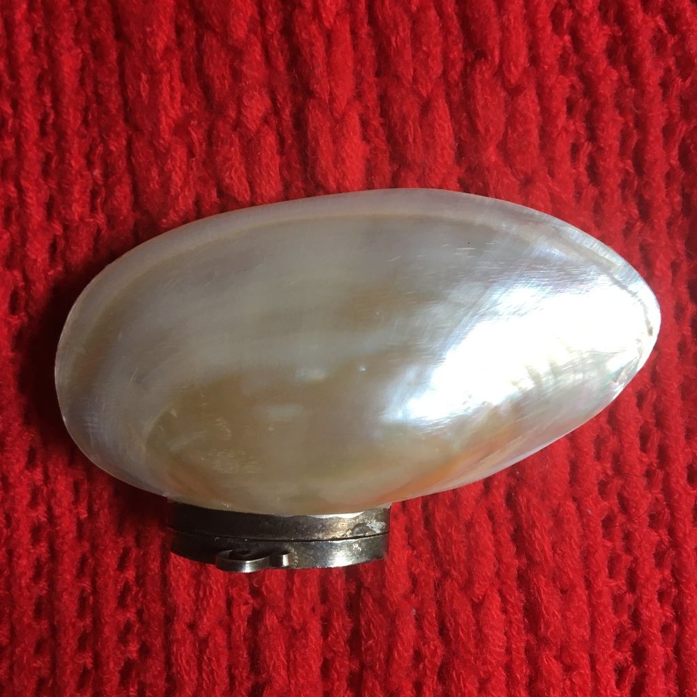 VICTORIAN Shell SNUFF Box Shell TRINKET BOX